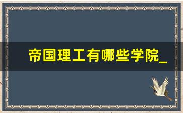 帝国理工有哪些学院_南肯辛顿 帝国理工